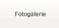Fotogalerie